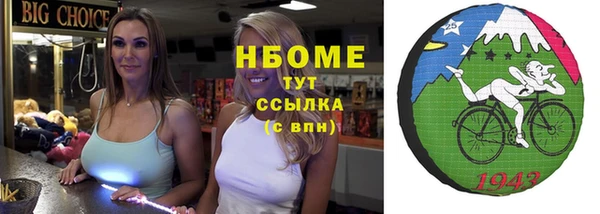 стафф Алексин