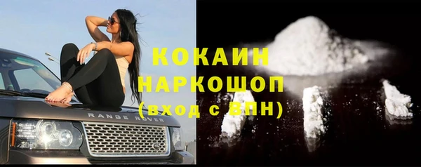 стафф Алексин
