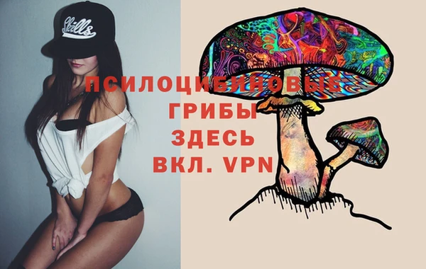 хмурый Алексеевка