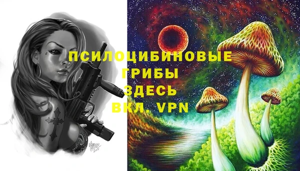 стафф Алексин